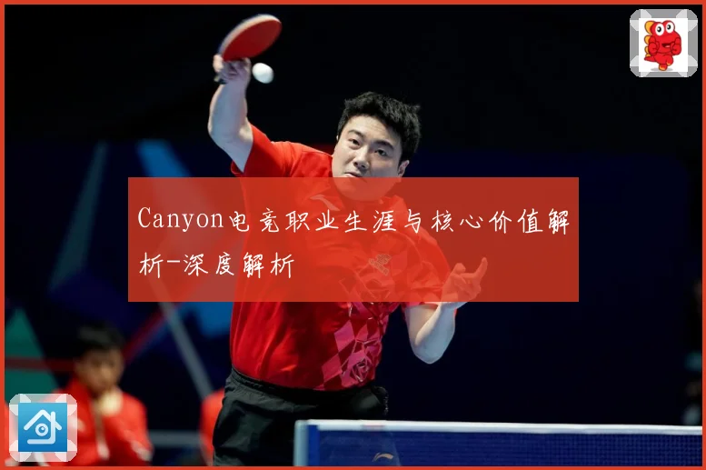 Canyon电竞职业生涯与核心价值解析-深度解析