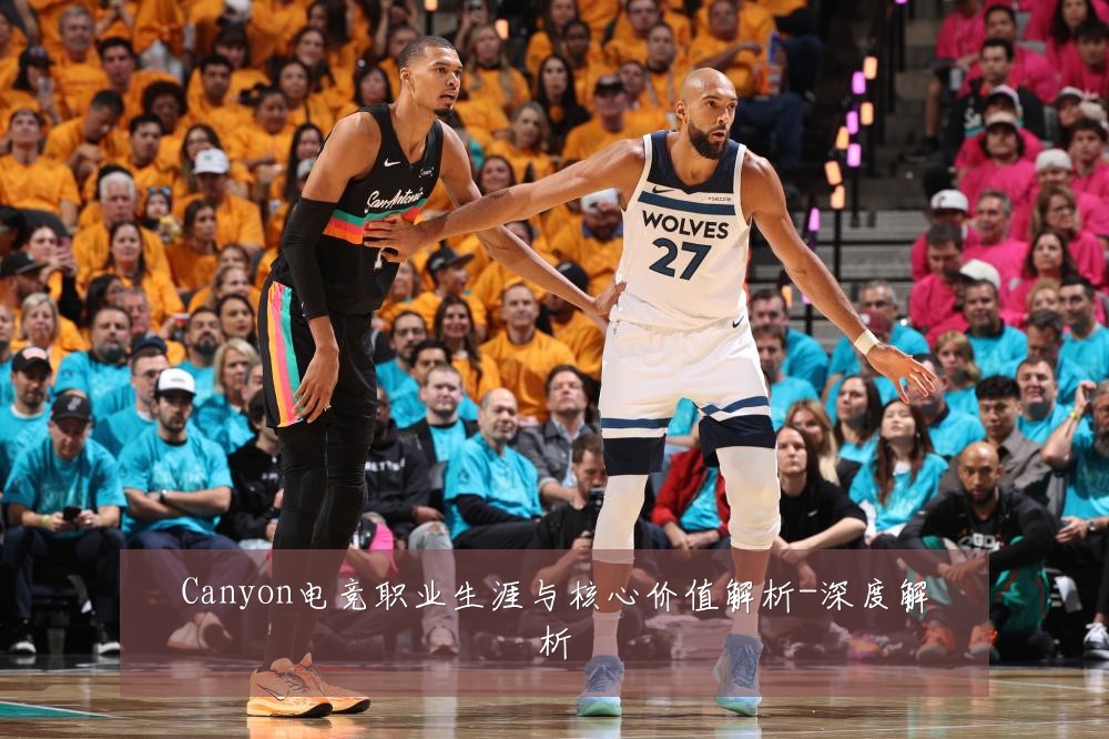 Canyon电竞职业生涯与核心价值解析-深度解析