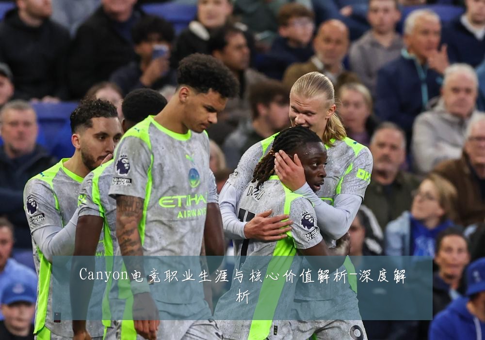Canyon电竞职业生涯与核心价值解析-深度解析
