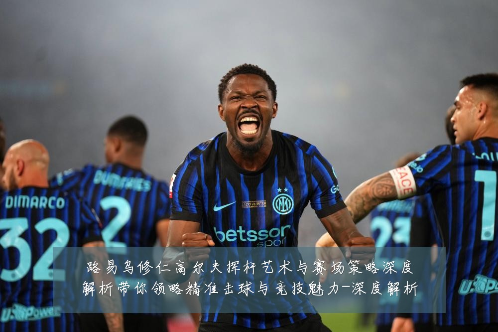 路易乌修仁高尔夫挥杆艺术与赛场策略深度解析带你领略精准击球与竞技魅力-深度解析
